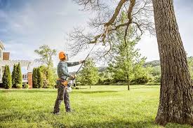  Farrell, PA Tree Removal and Landscaping Services Pros